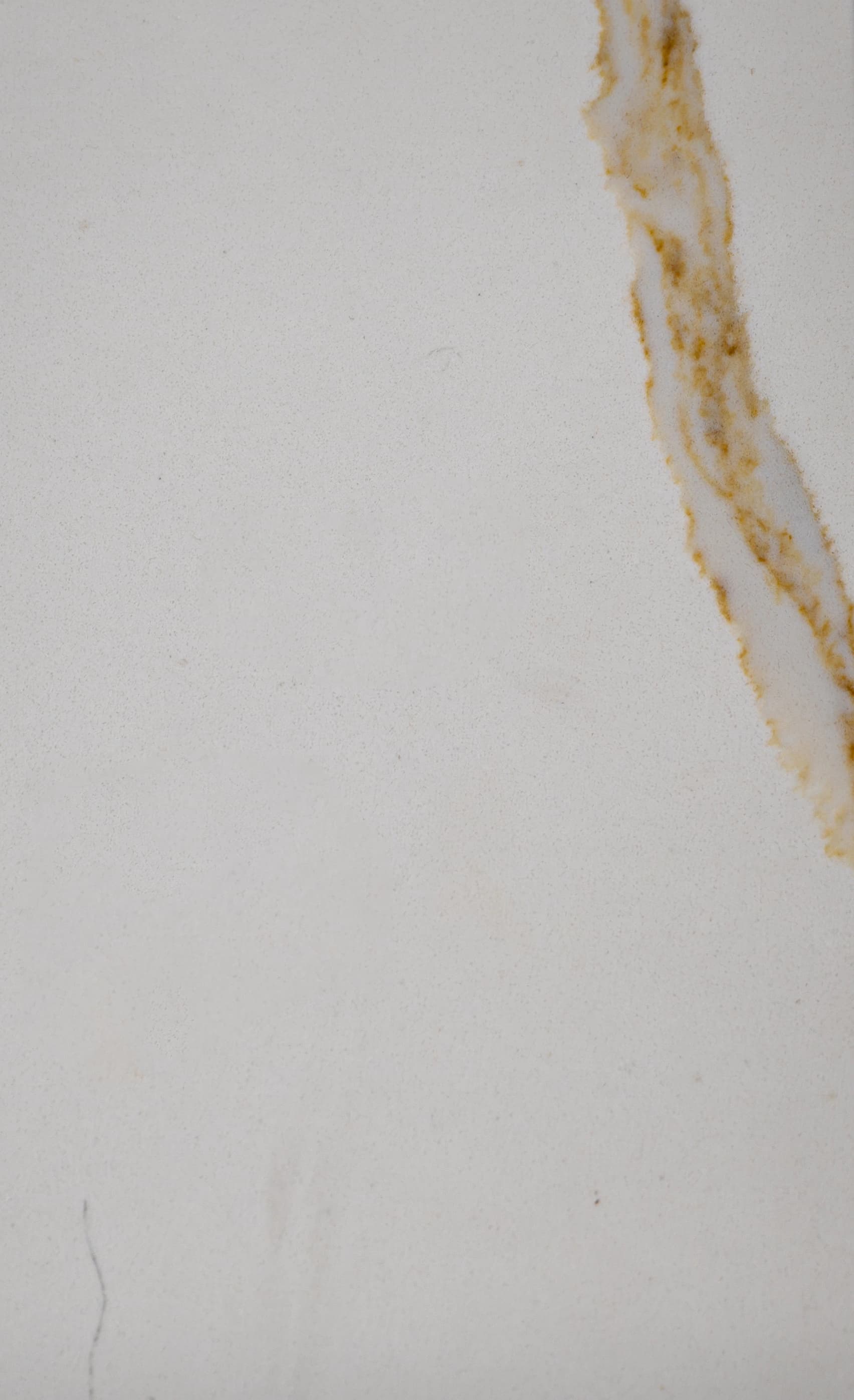 Signature — Calacatta Taj